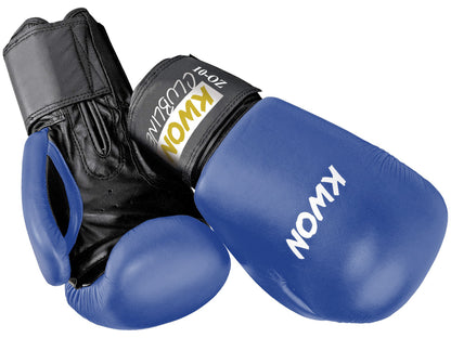 POINTER 10oz. Boxing Gloves - Multiple Colors