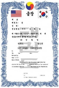 TKD Gup Certificate