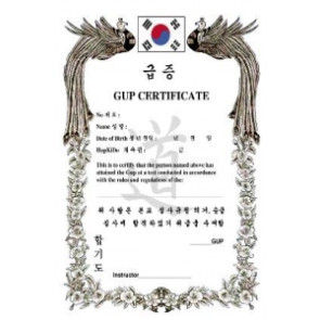 Hapkido Gup Certificate