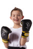 Shark Boxing Gloves Child 